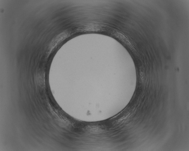 X0000077320534200611031708