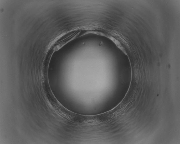 X0000077320536200611031708