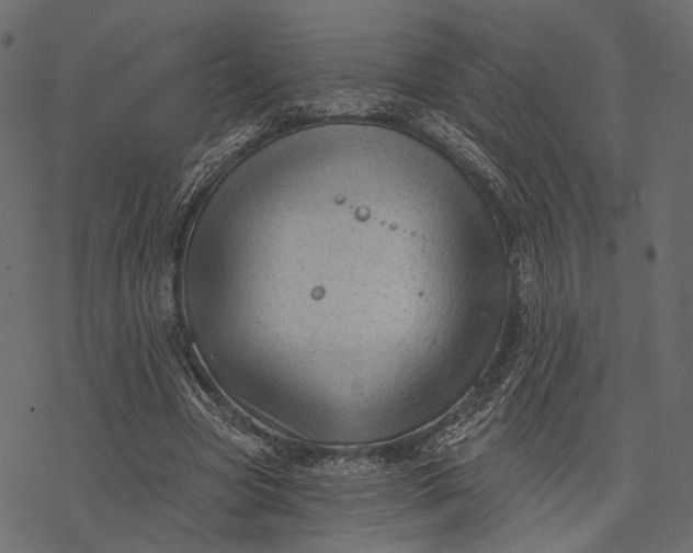 X0000077320537200611031708