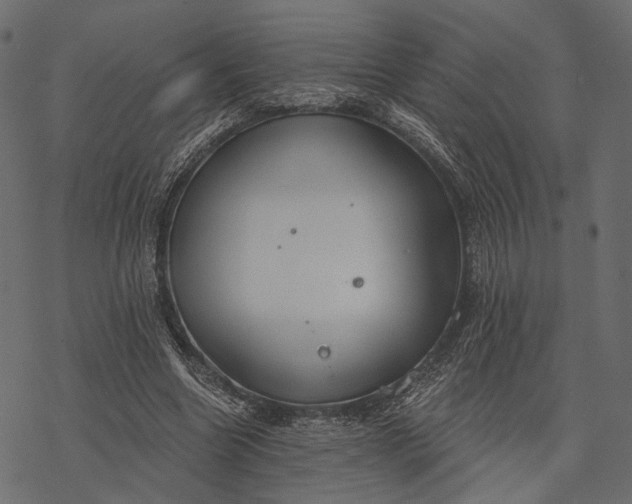 X0000077320538200611031708