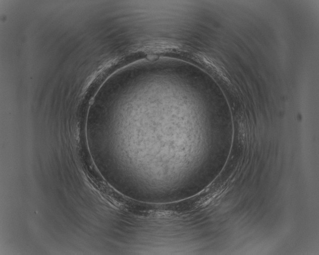 X0000077320539200611031708