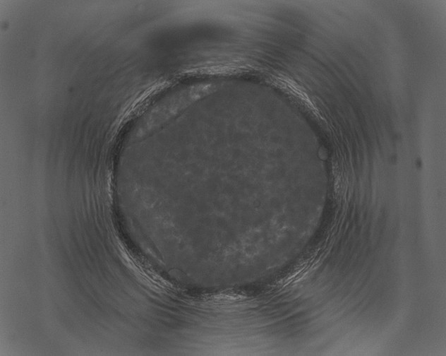 X0000077320542200611031708