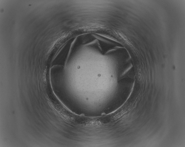 X0000077320543200611031708