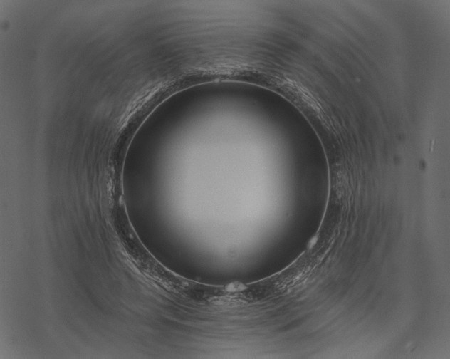 X0000077320544200611031708