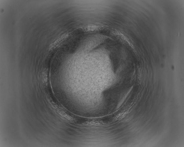 X0000077320545200611031708