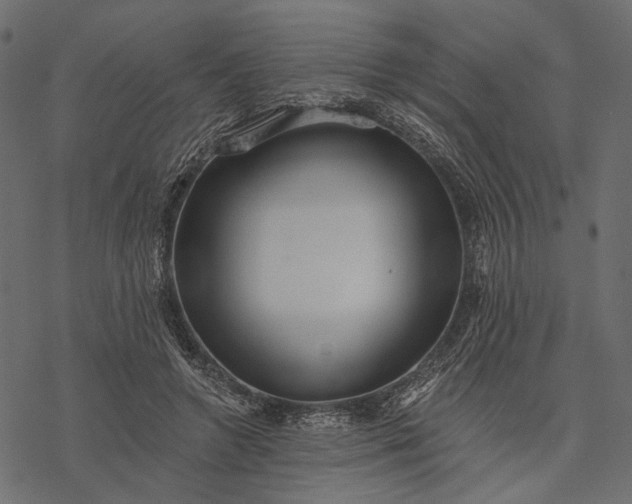 X0000077320546200611031708