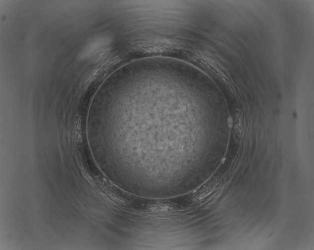 X0000077320547200611031708