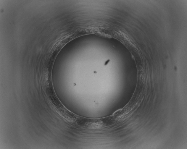 X0000077320548200611031708