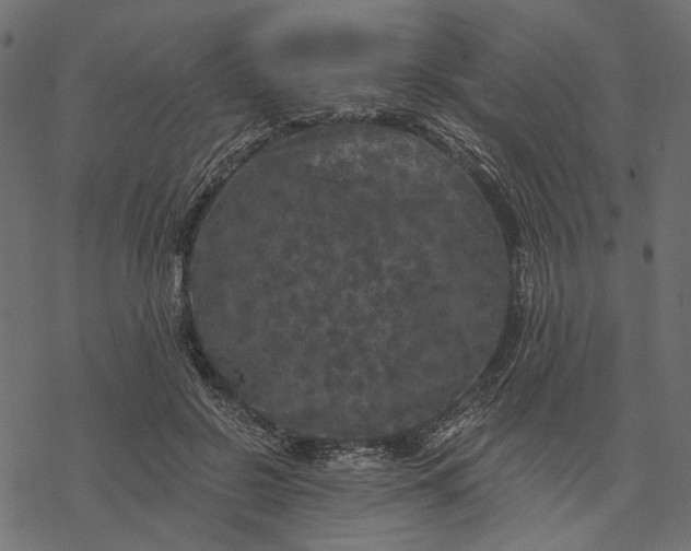 X0000077320550200611031708