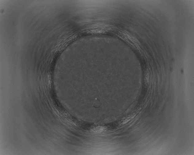 X0000077320551200611031708