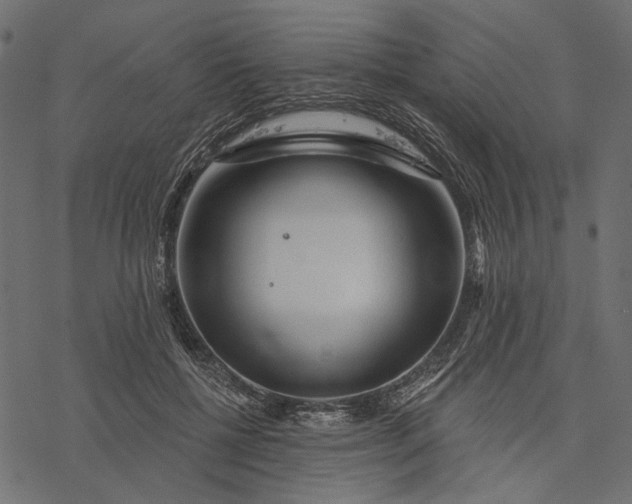 X0000077320552200611031708