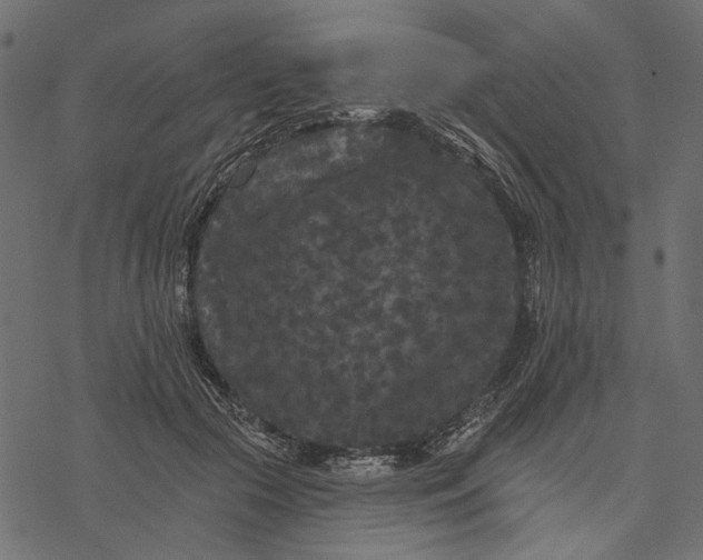 X0000077320553200611031708