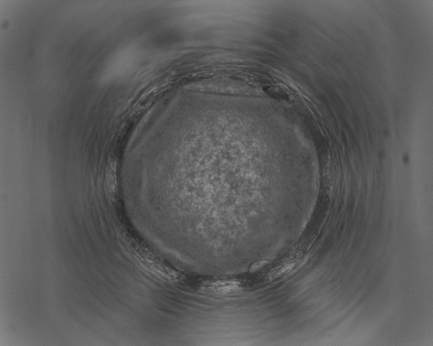 X0000077320554200611031708