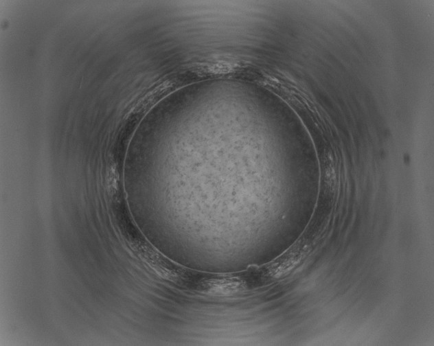 X0000077320555200611031708