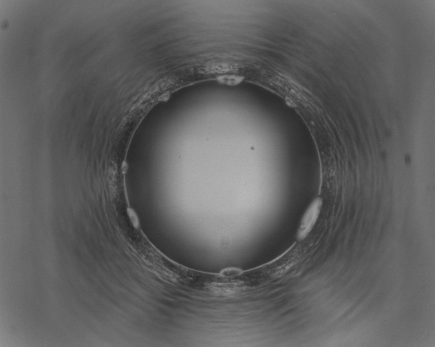 X0000077320556200611031708