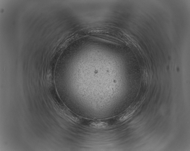 X0000077320557200611031708