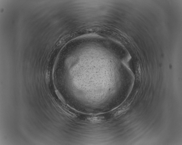 X0000077320558200611031708