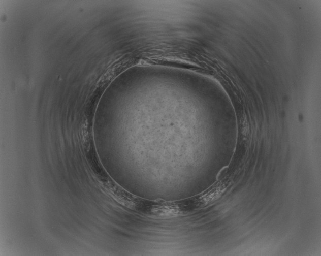 X0000077320559200611031708