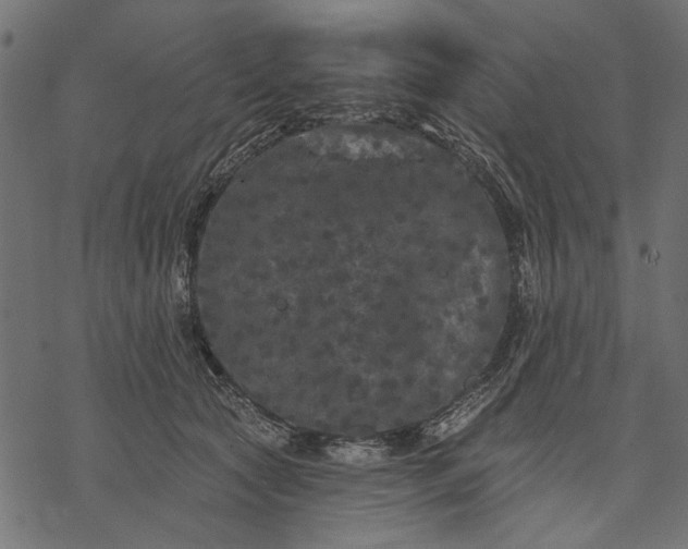 X0000077320561200611031708