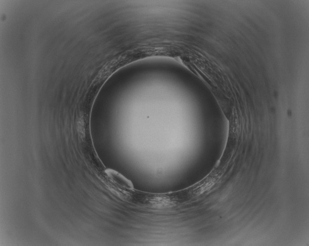 X0000077320562200611031708