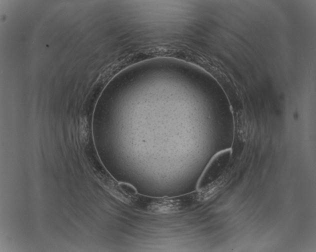 X0000077320563200611031708