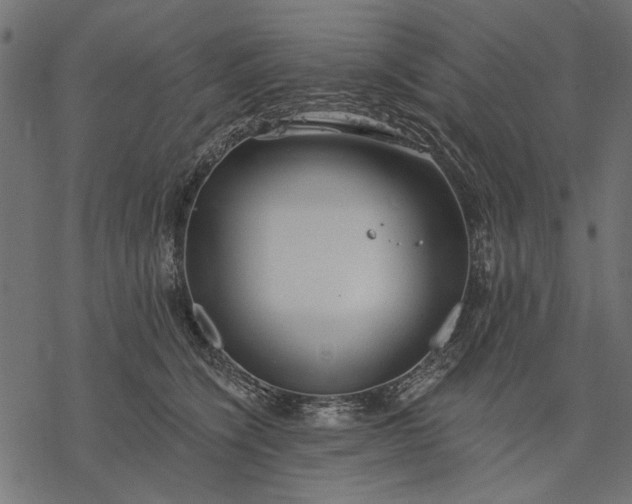 X0000077320564200611031708