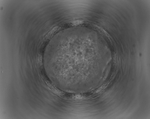 X0000077320565200611031708