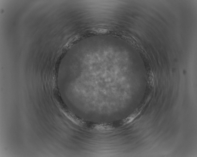 X0000077320568200611031708