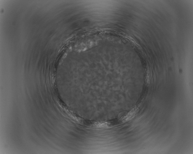 X0000077320569200611031708