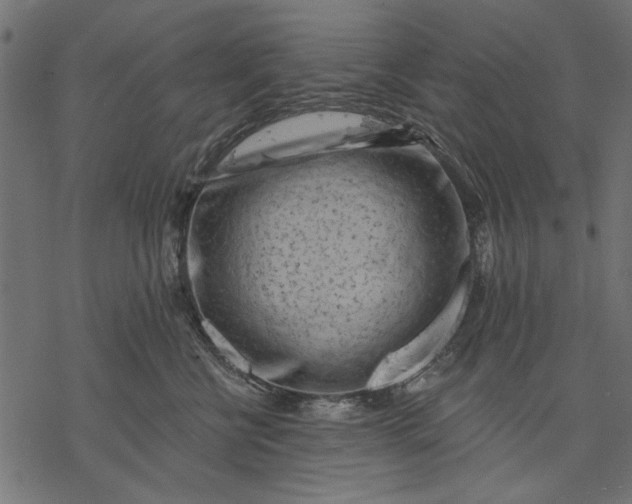 X0000077320570200611031708