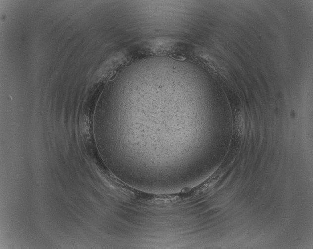 X0000077320571200611031708