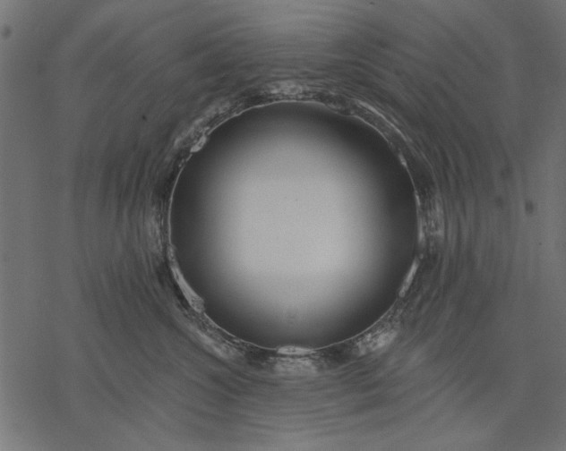 X0000077320572200611031708