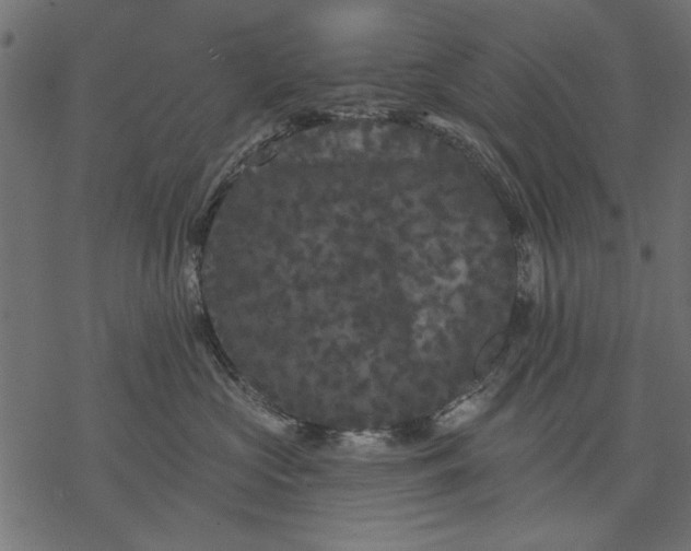 X0000077320573200611031708