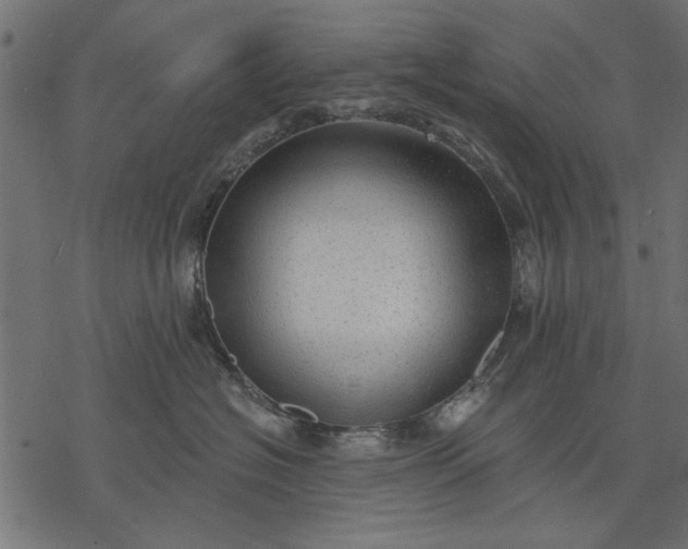 X0000077320574200611031708