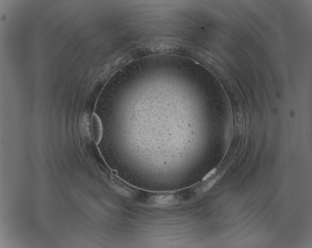 X0000077320575200611031708