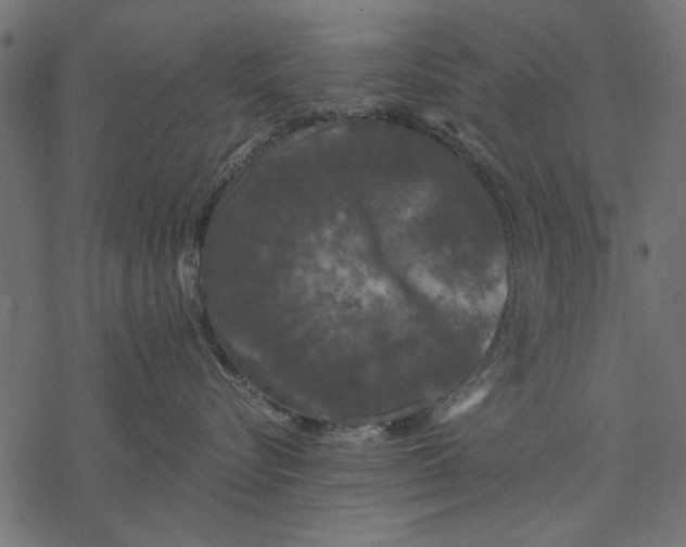 X0000077320576200611031708