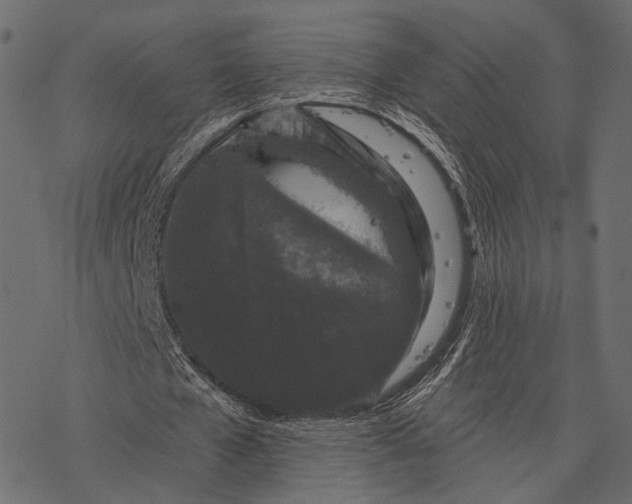 X0000077320577200611031708