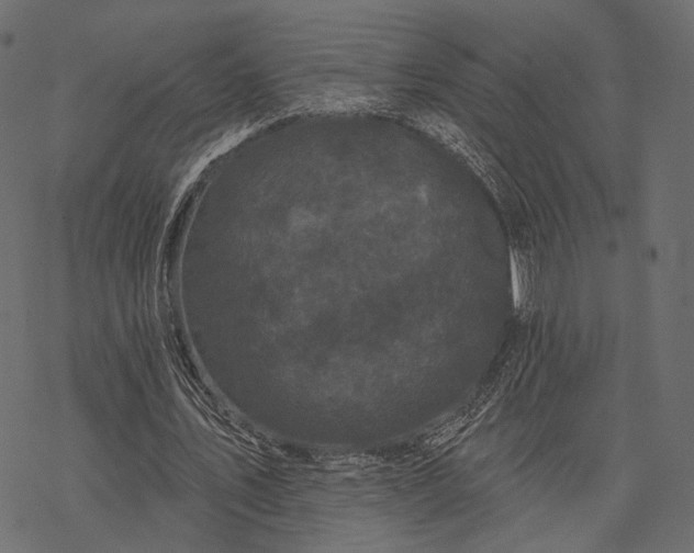 X0000077320579200611031708