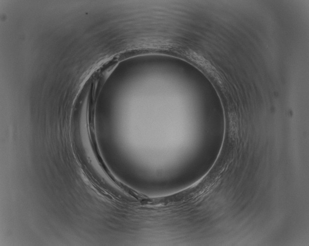 X0000077320580200611031707