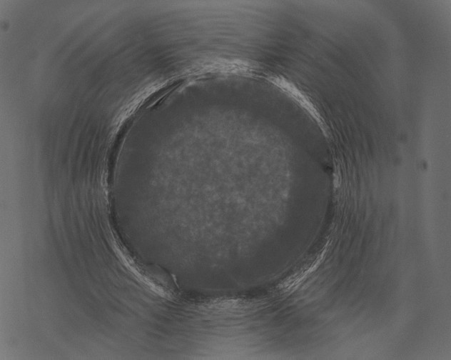 X0000077320581200611031707