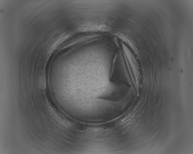 X0000077320582200611031707