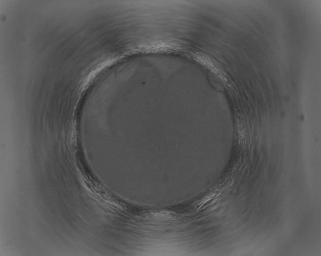 X0000077320583200611031707