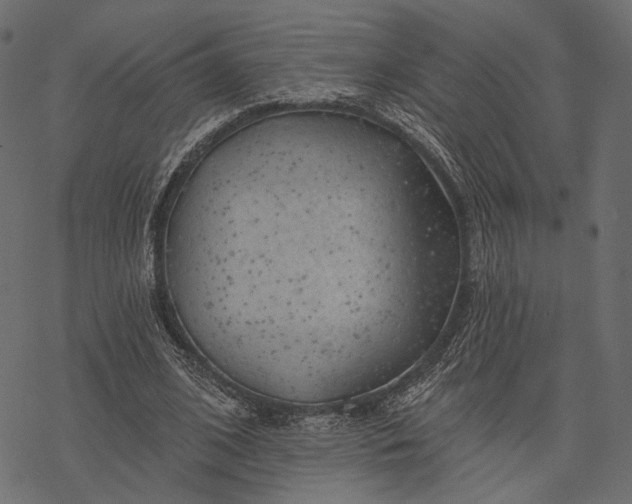 X0000077320584200611031707