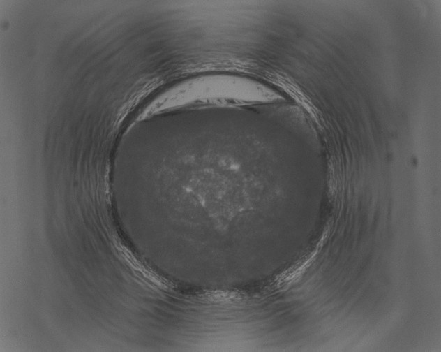 X0000077320585200611031707