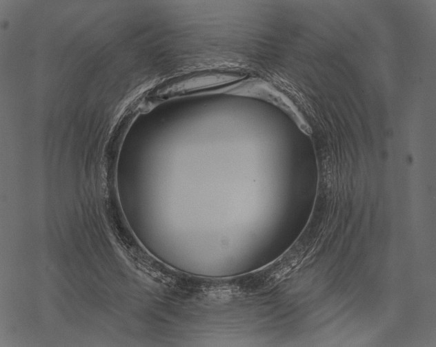 X0000077320587200611031707