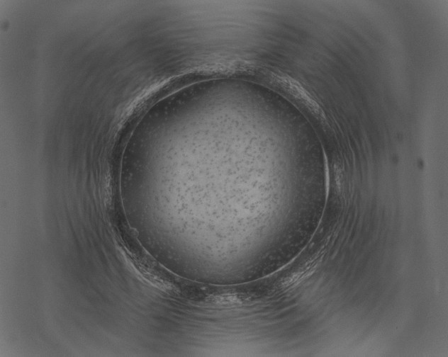 X0000077320588200611031707