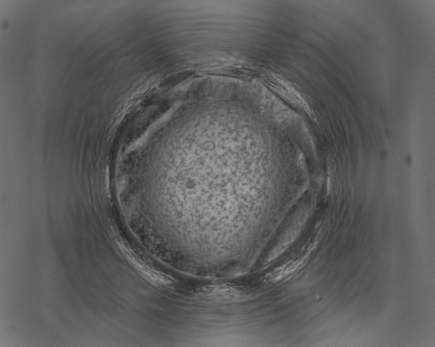 X0000077320589200611031707