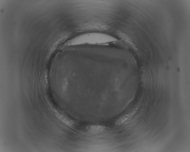 X0000077320590200611031707