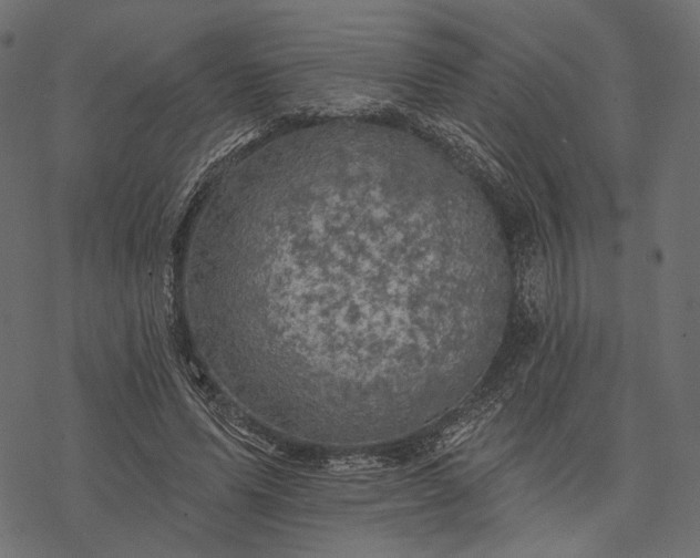 X0000077320591200611031707