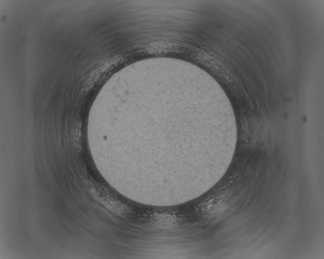 X0000077320592200611031707